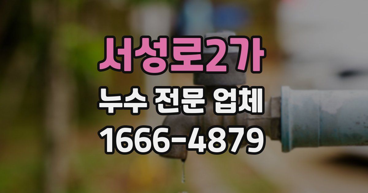 서성로2가 누수 전문 업체