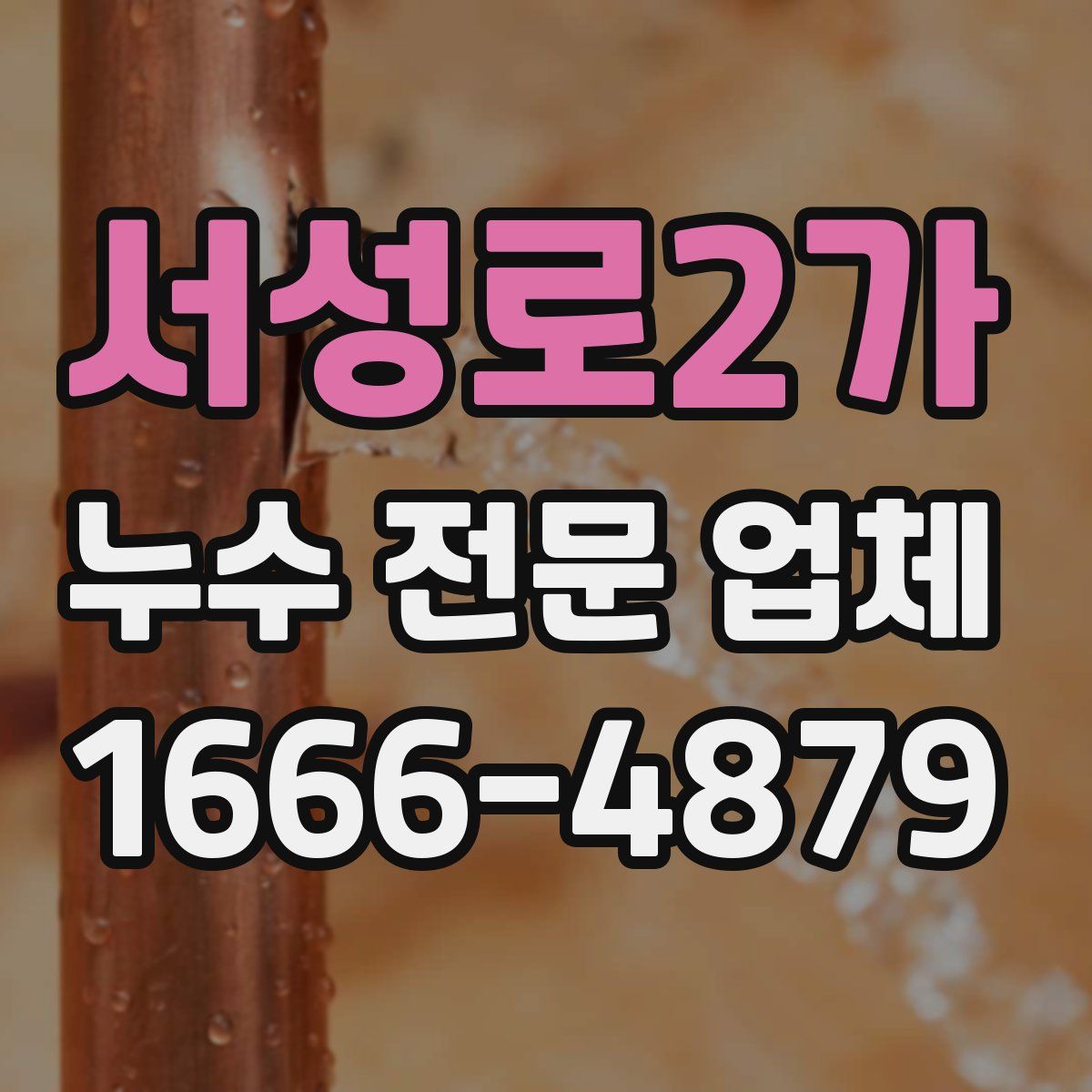 서성로2가 누수 전문 업체