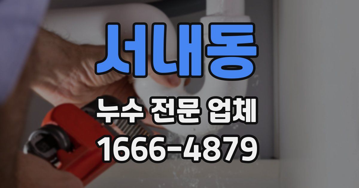 서내동 누수 전문 업체