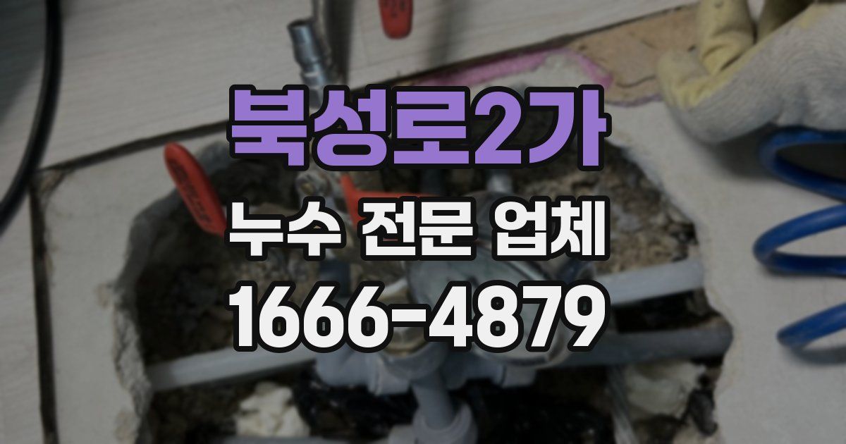 북성로2가 누수 전문 업체