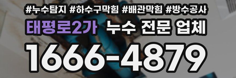태평로2가 누수 전문 업체