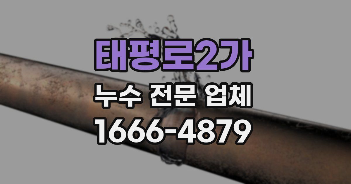 태평로2가 누수 전문 업체