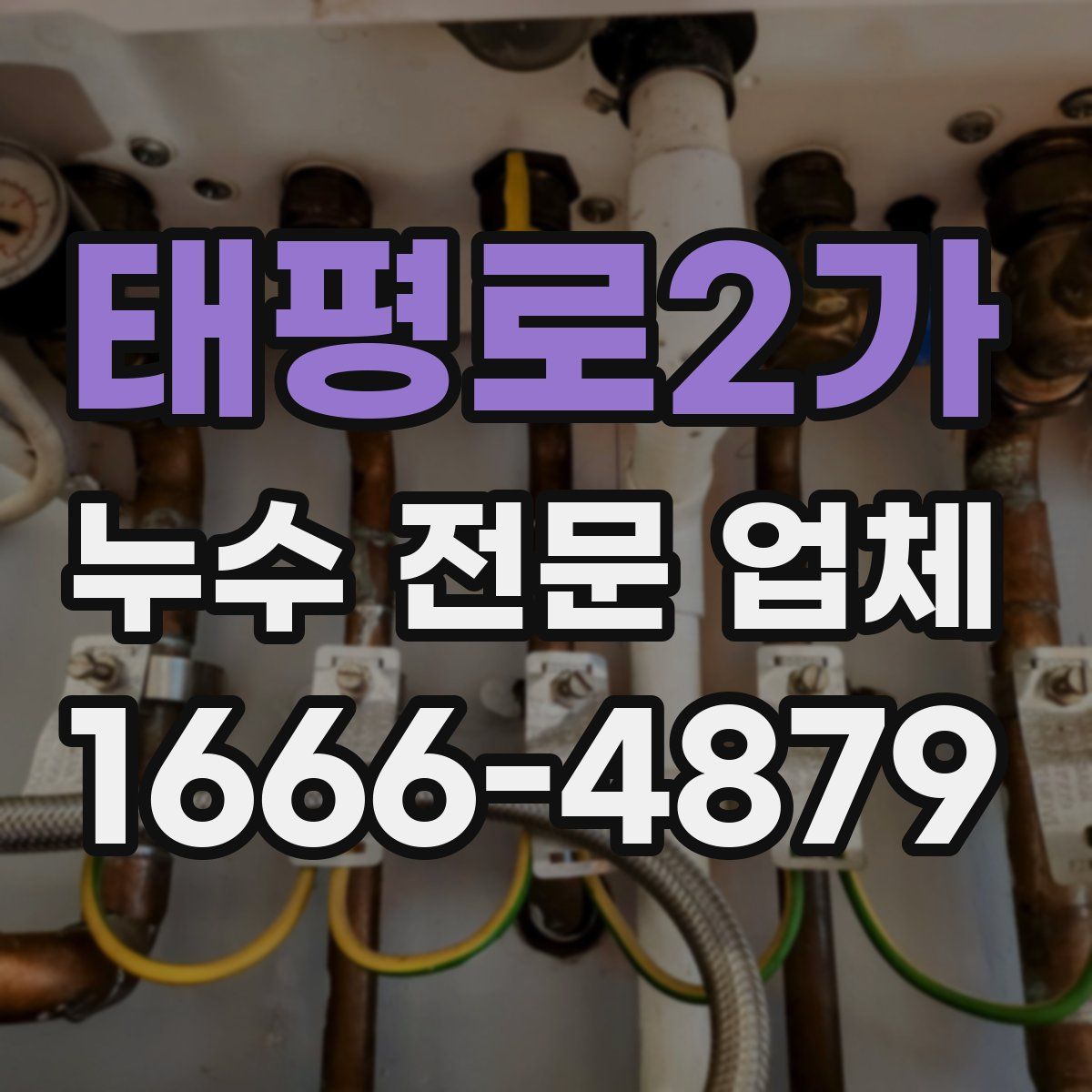태평로2가 누수 전문 업체