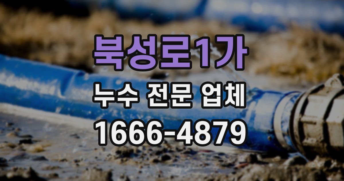 북성로1가 누수 전문 업체