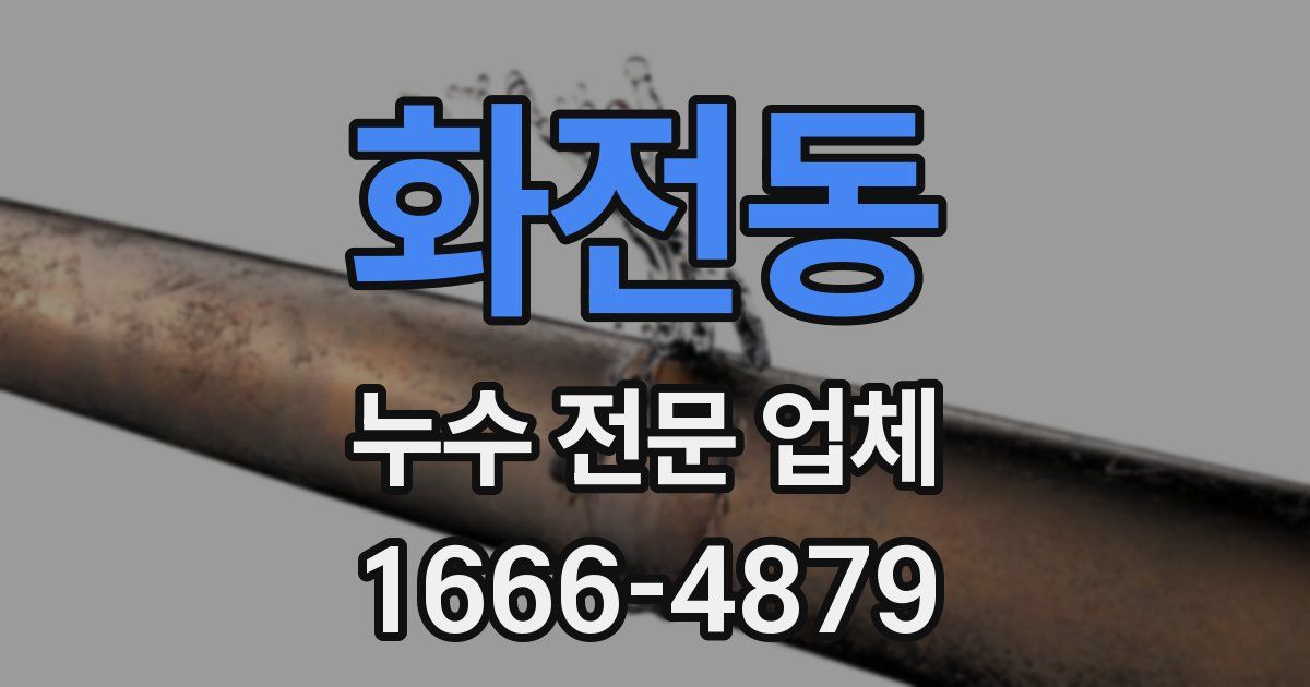 화전동 누수 전문 업체