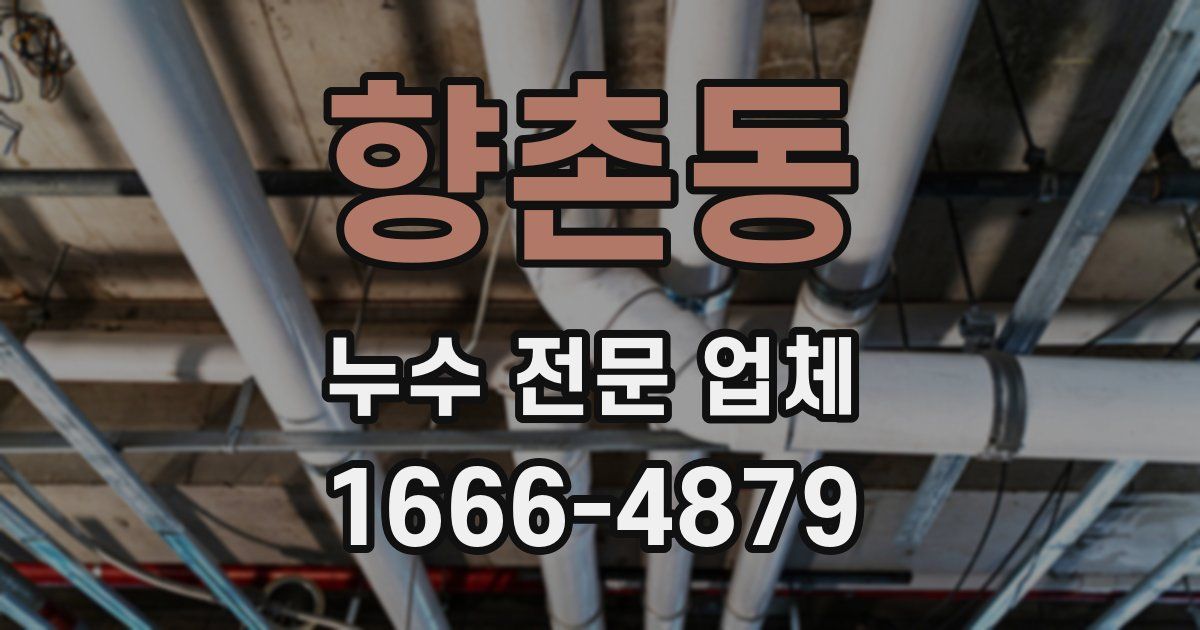 향촌동 누수 전문 업체