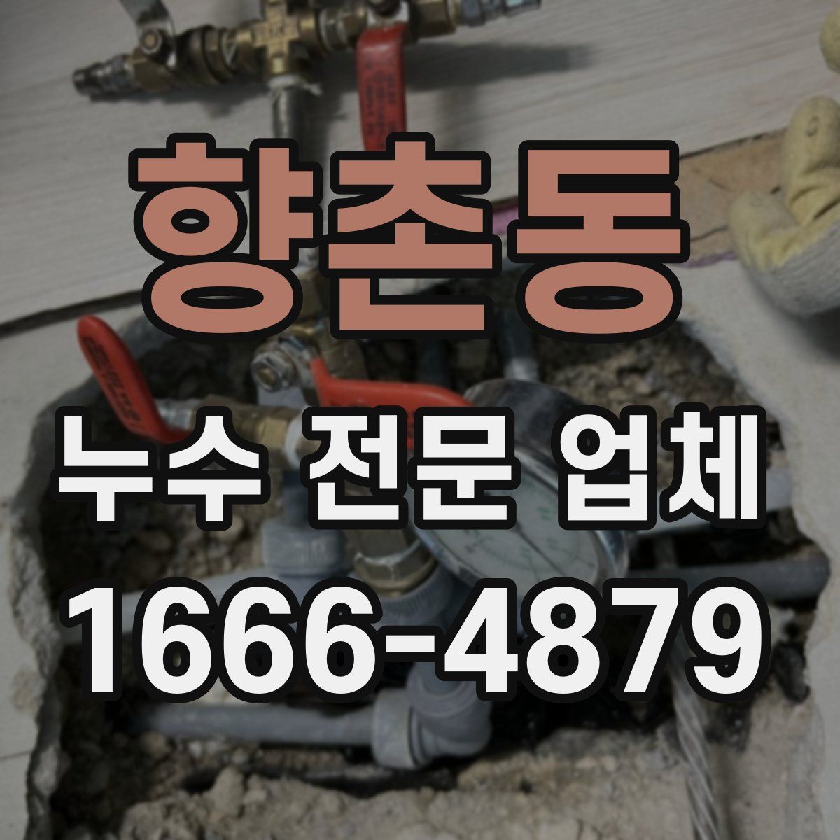 향촌동 누수 전문 업체