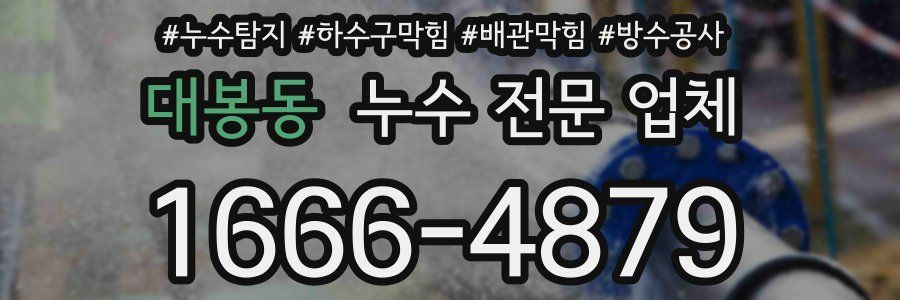 대봉동 누수 전문 업체