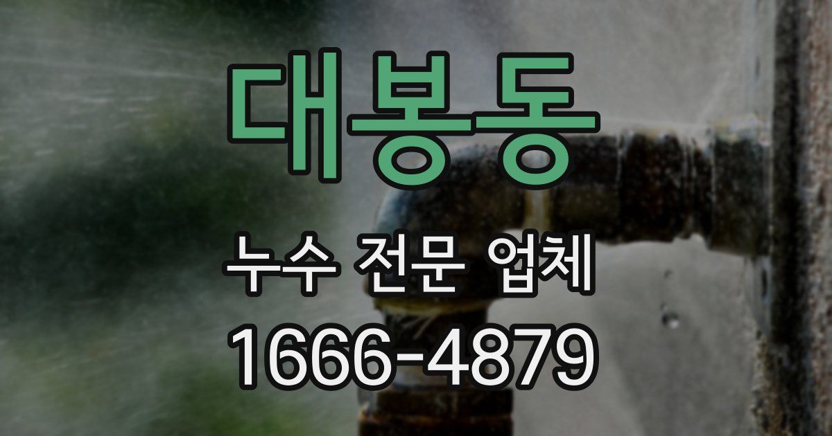 대봉동 누수 전문 업체