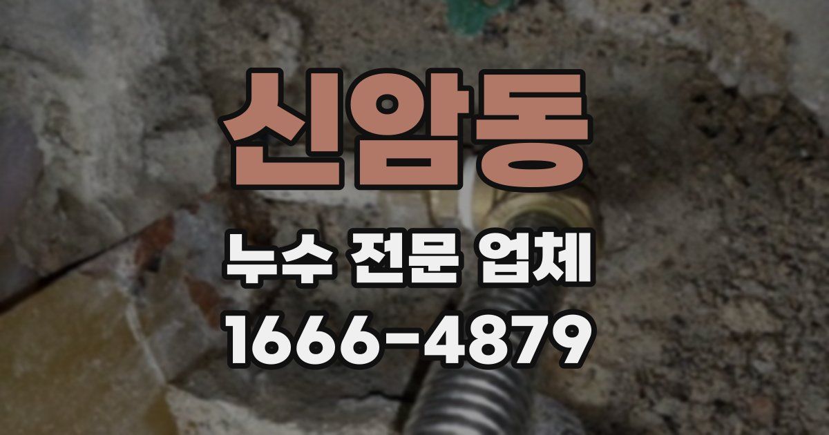 신암동 누수 전문 업체
