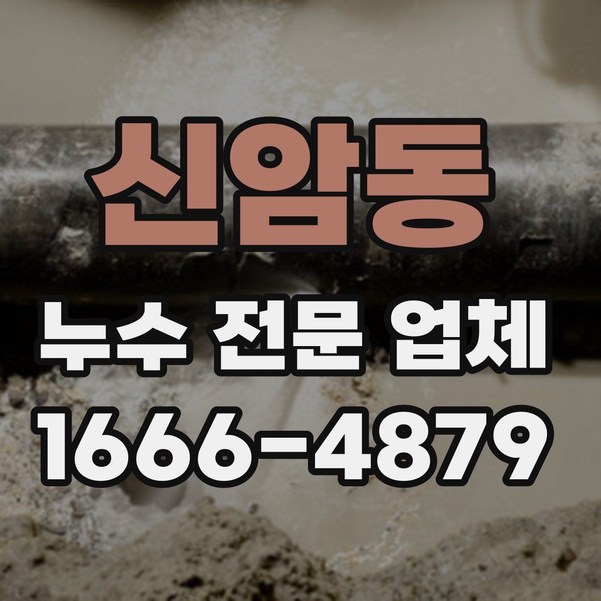 신암동 누수 전문 업체