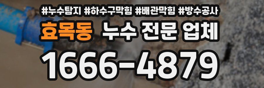 효목동 누수 전문 업체