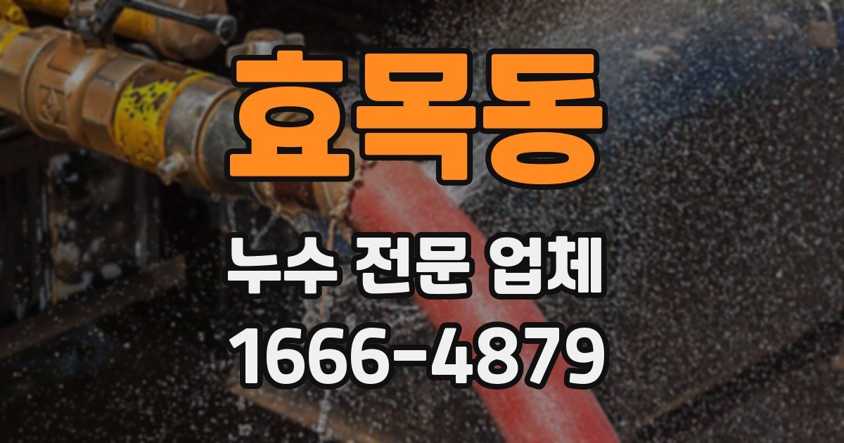 효목동 누수 전문 업체