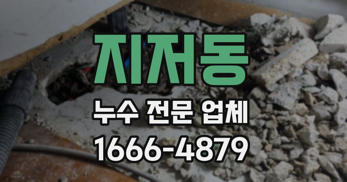 지저동 누수 전문 업체