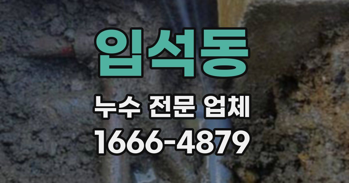입석동 누수 전문 업체