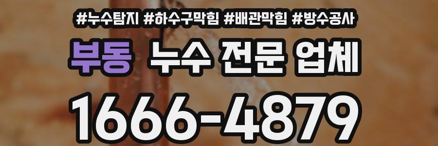 부동 누수 전문 업체
