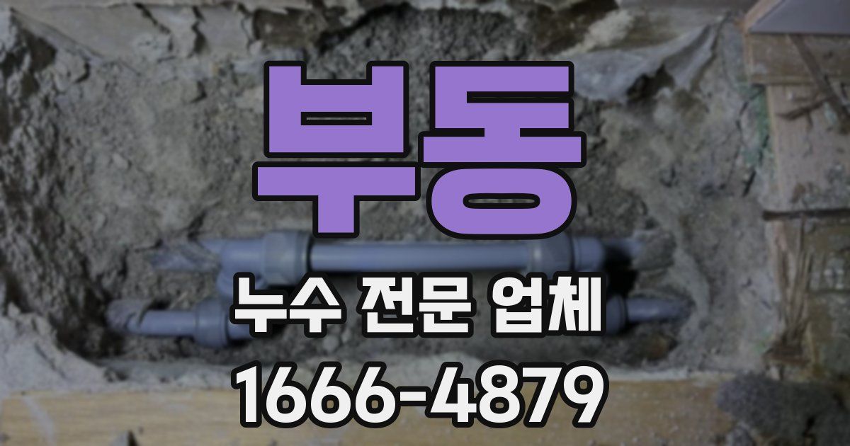 부동 누수 전문 업체