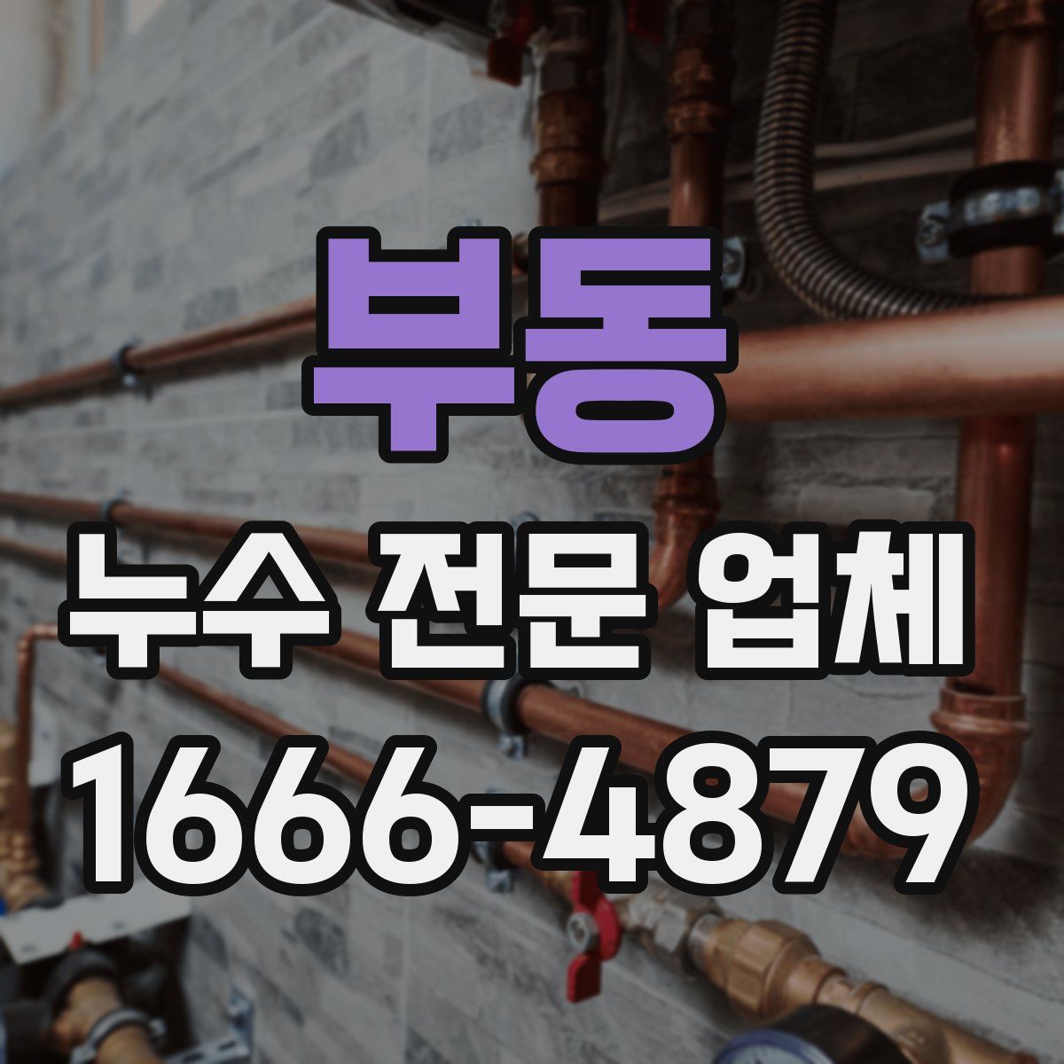 부동 누수 전문 업체