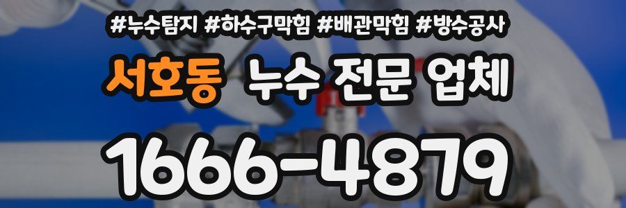 서호동 누수 전문 업체