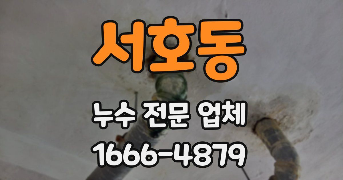 서호동 누수 전문 업체