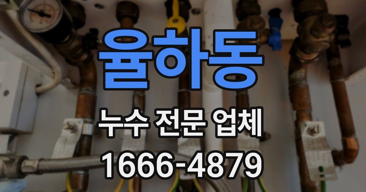 율하동 누수 전문 업체