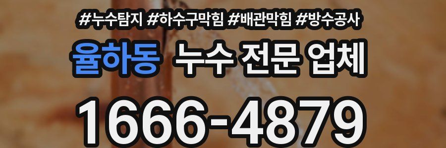 율하동 누수 전문 업체
