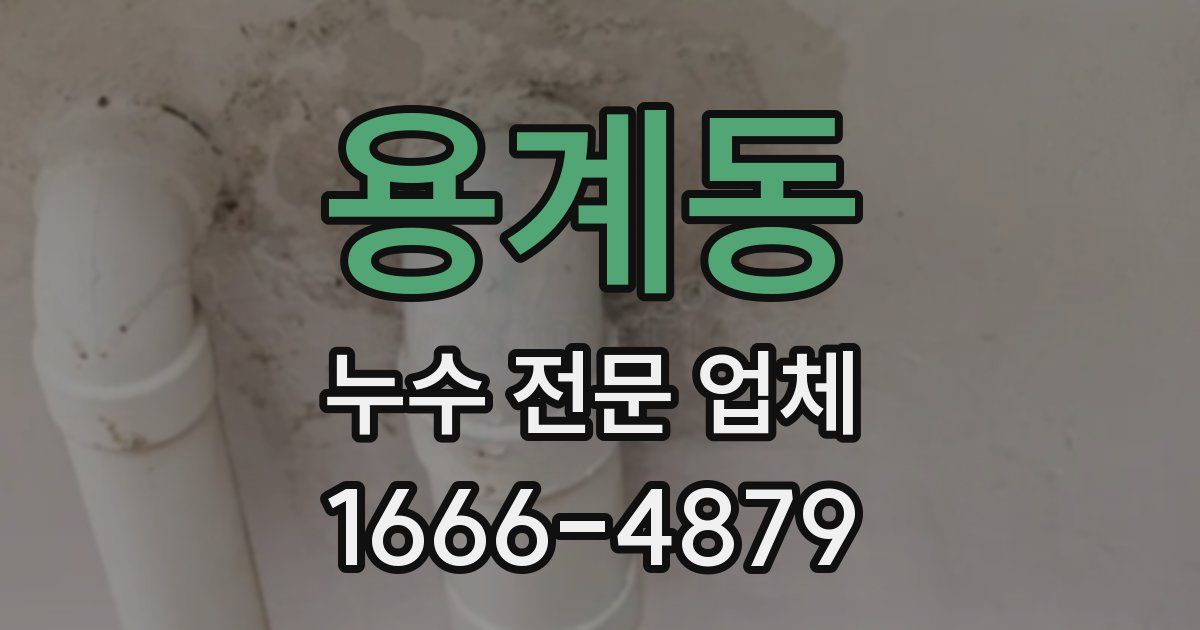 용계동 누수 전문 업체