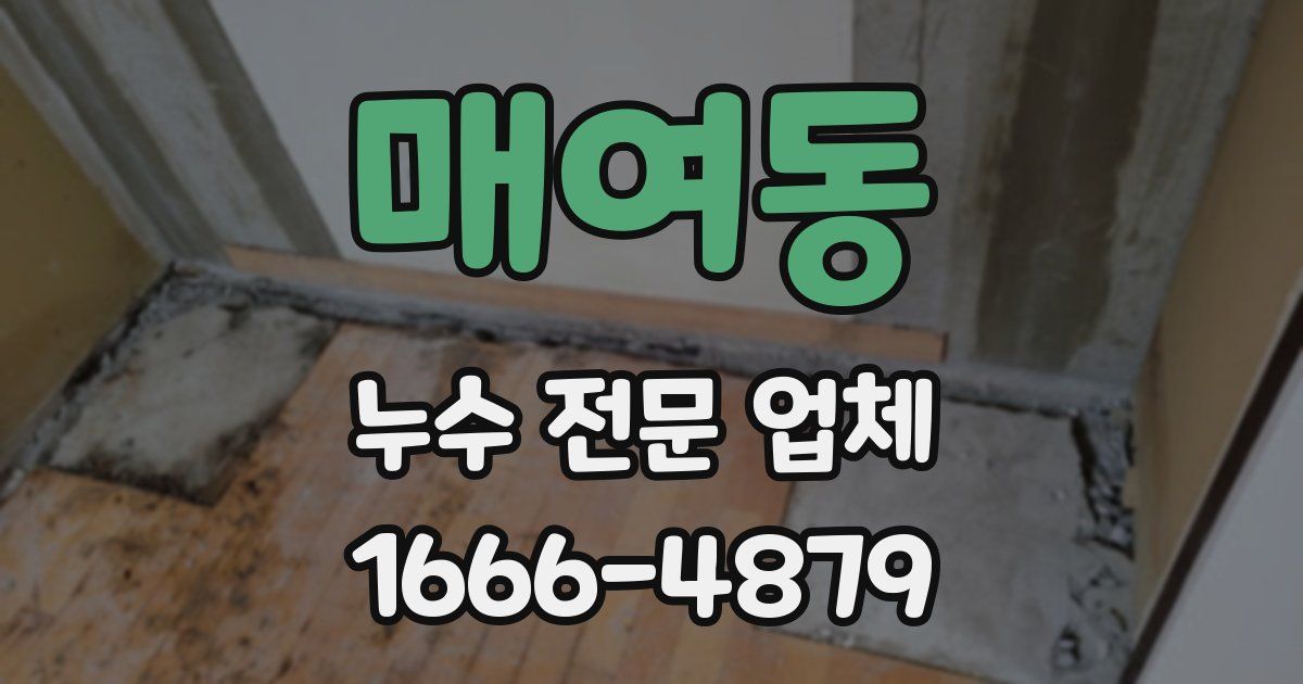 매여동 누수 전문 업체