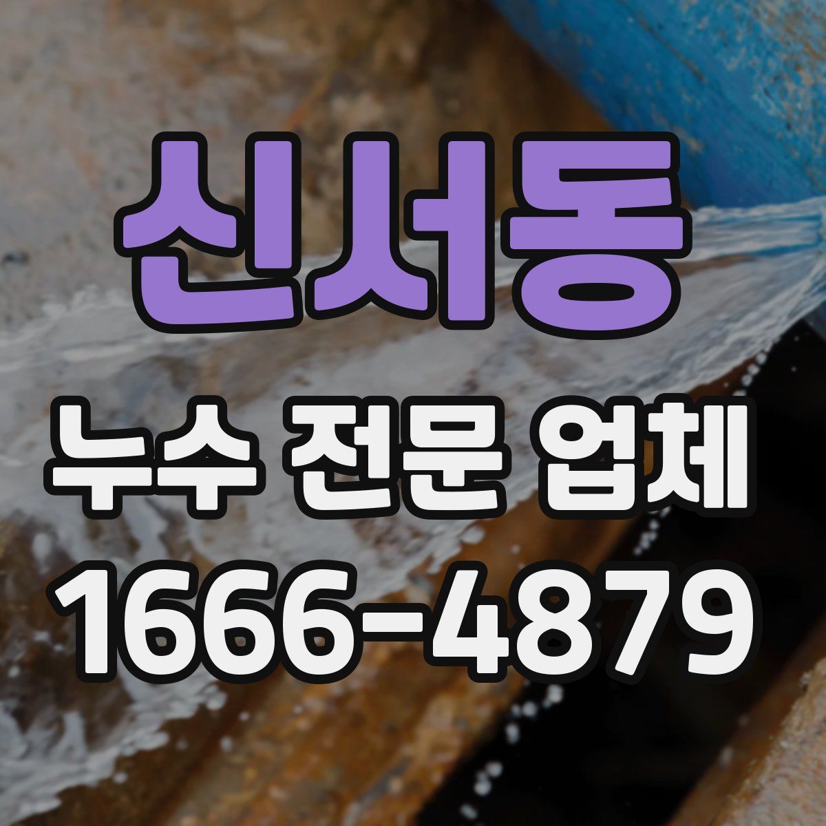 신서동 누수 전문 업체