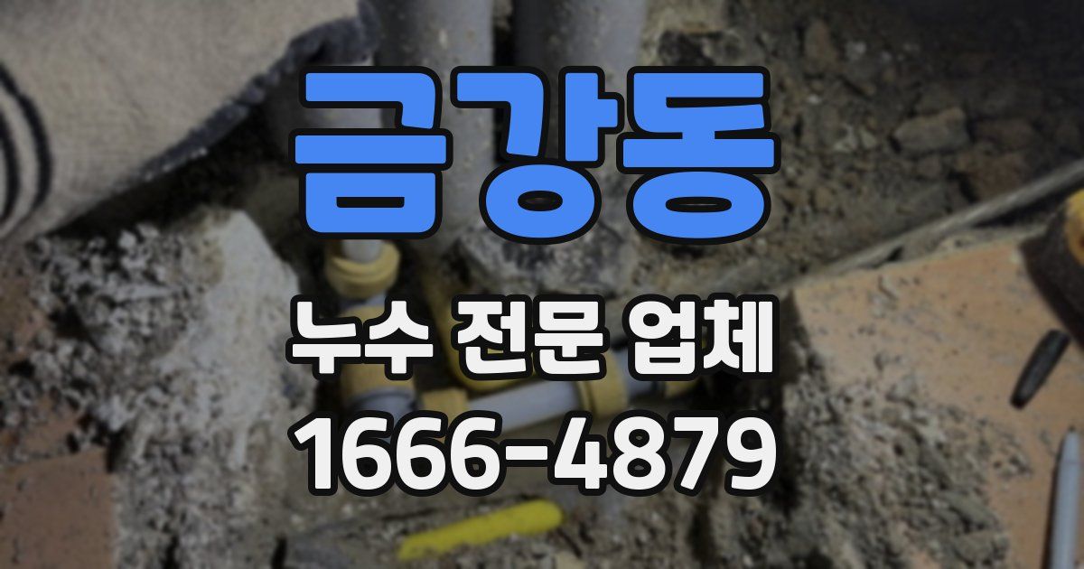 금강동 누수 전문 업체