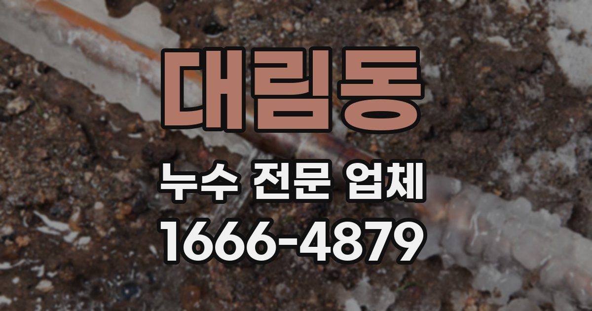 대림동 누수 전문 업체