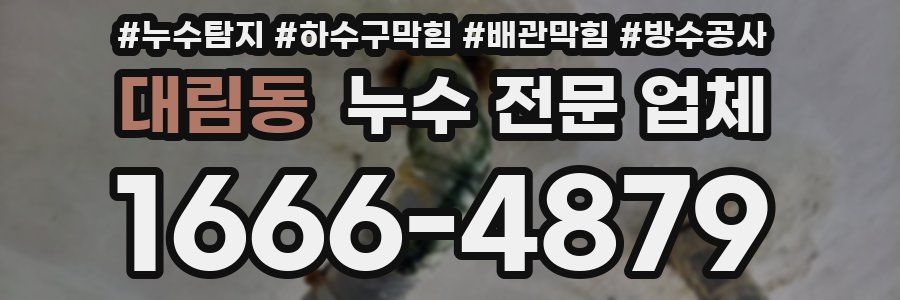 대림동 누수 전문 업체