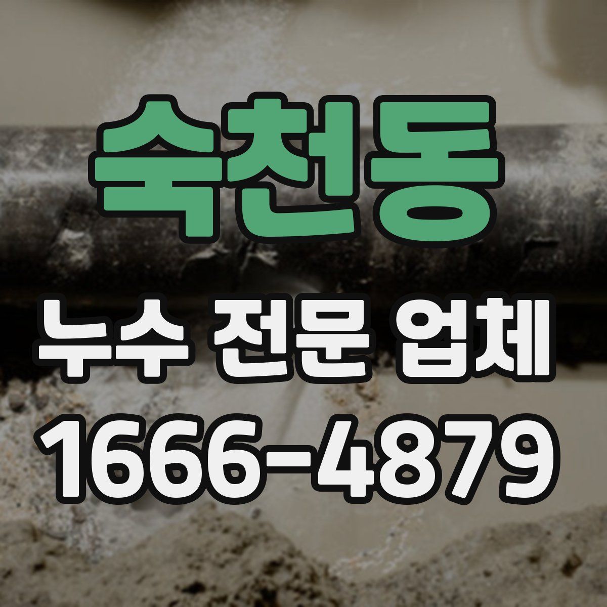 숙천동 누수 전문 업체