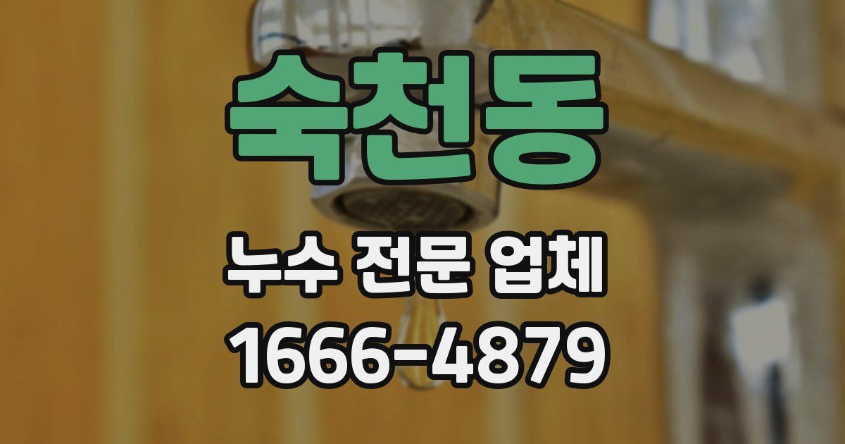 숙천동 누수 전문 업체