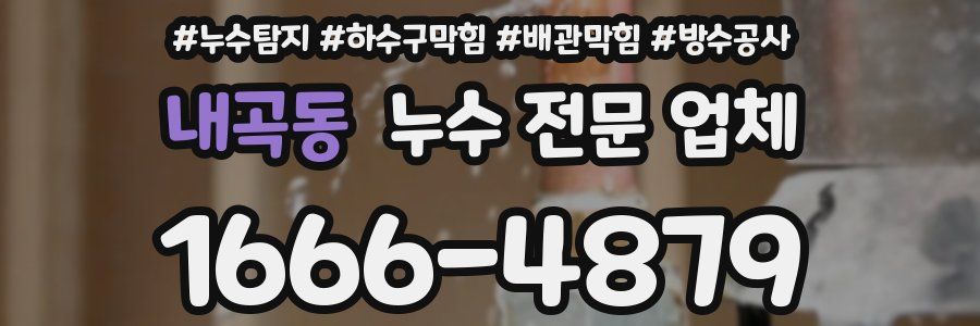 내곡동 누수 전문 업체