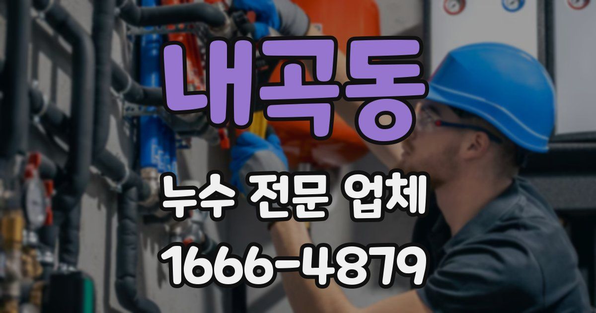 내곡동 누수 전문 업체