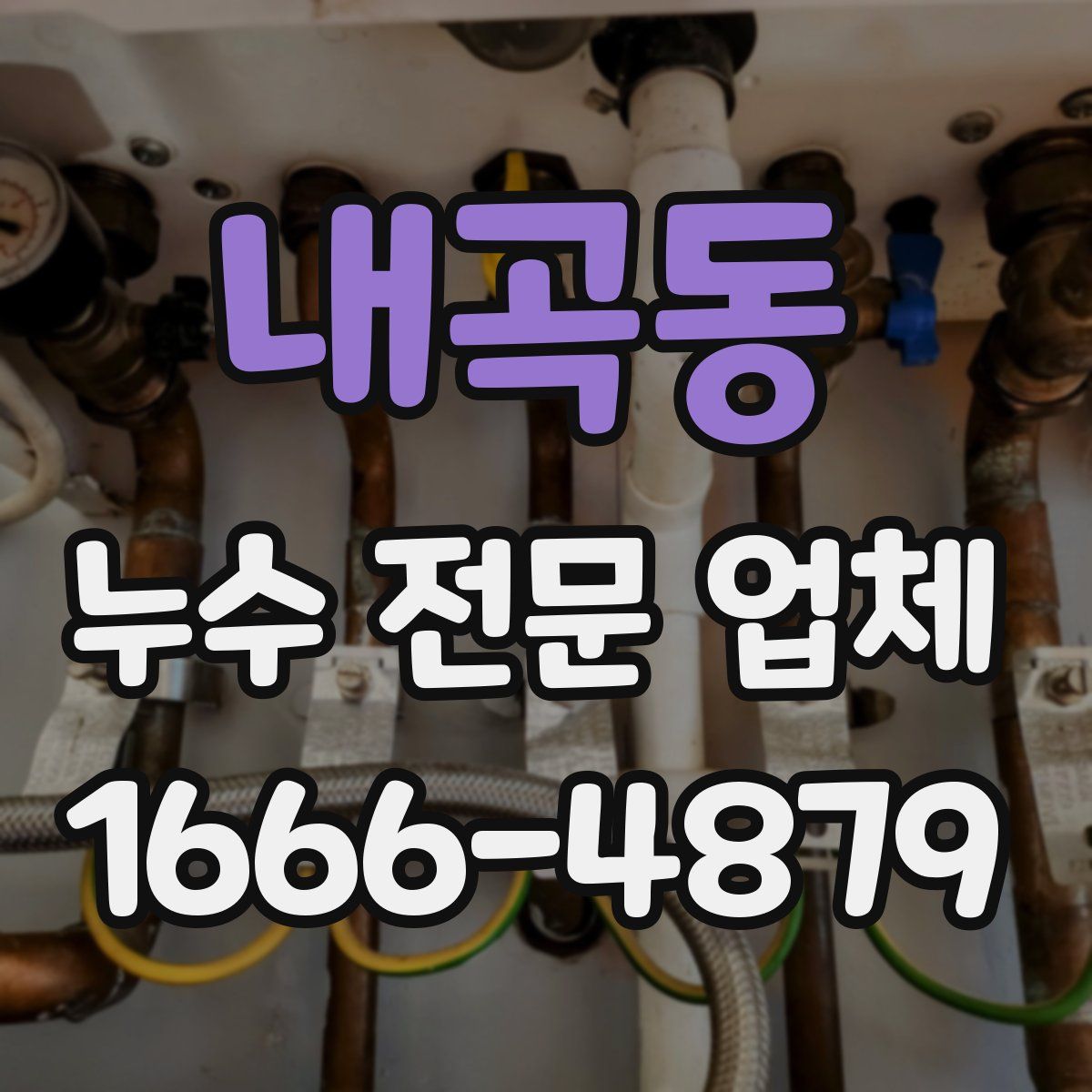 내곡동 누수 전문 업체
