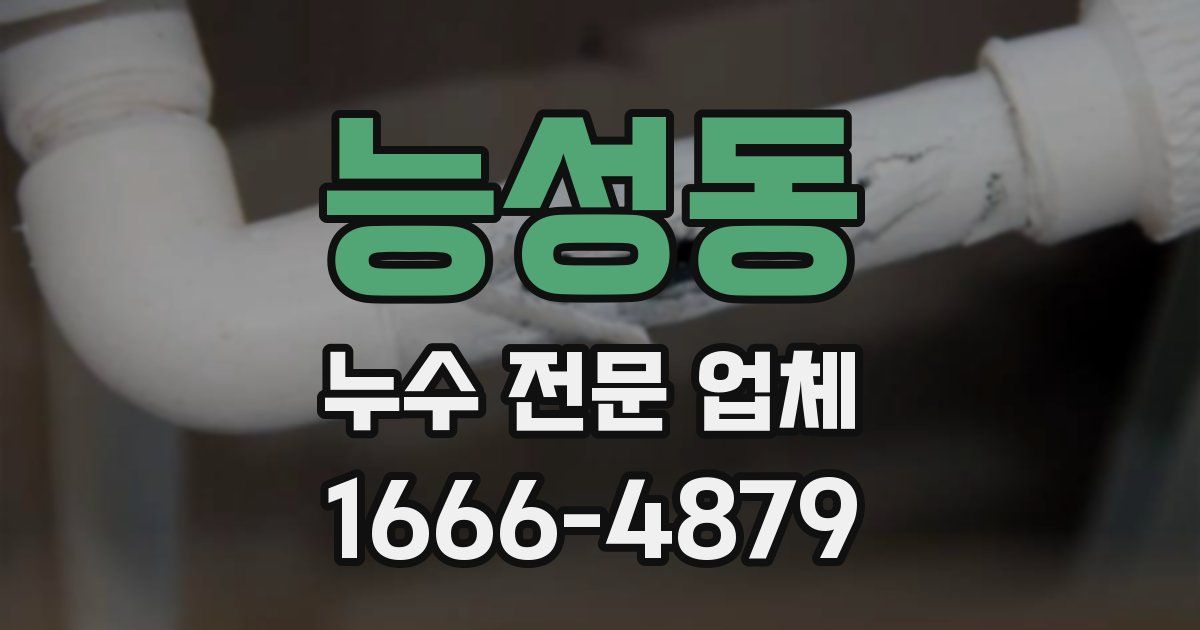 능성동 누수 전문 업체