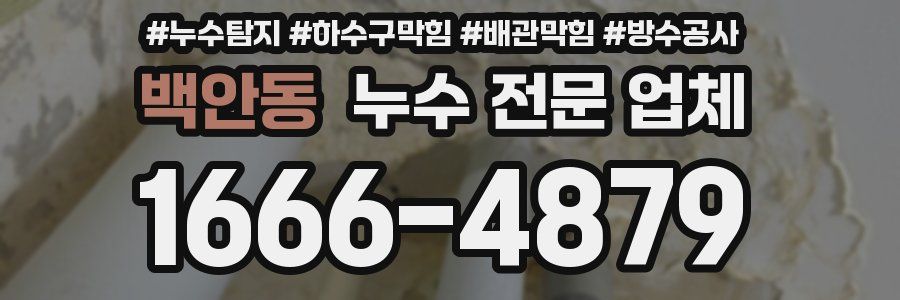 백안동 누수 전문 업체