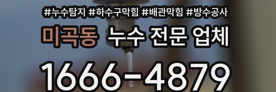 미곡동 누수 전문 업체