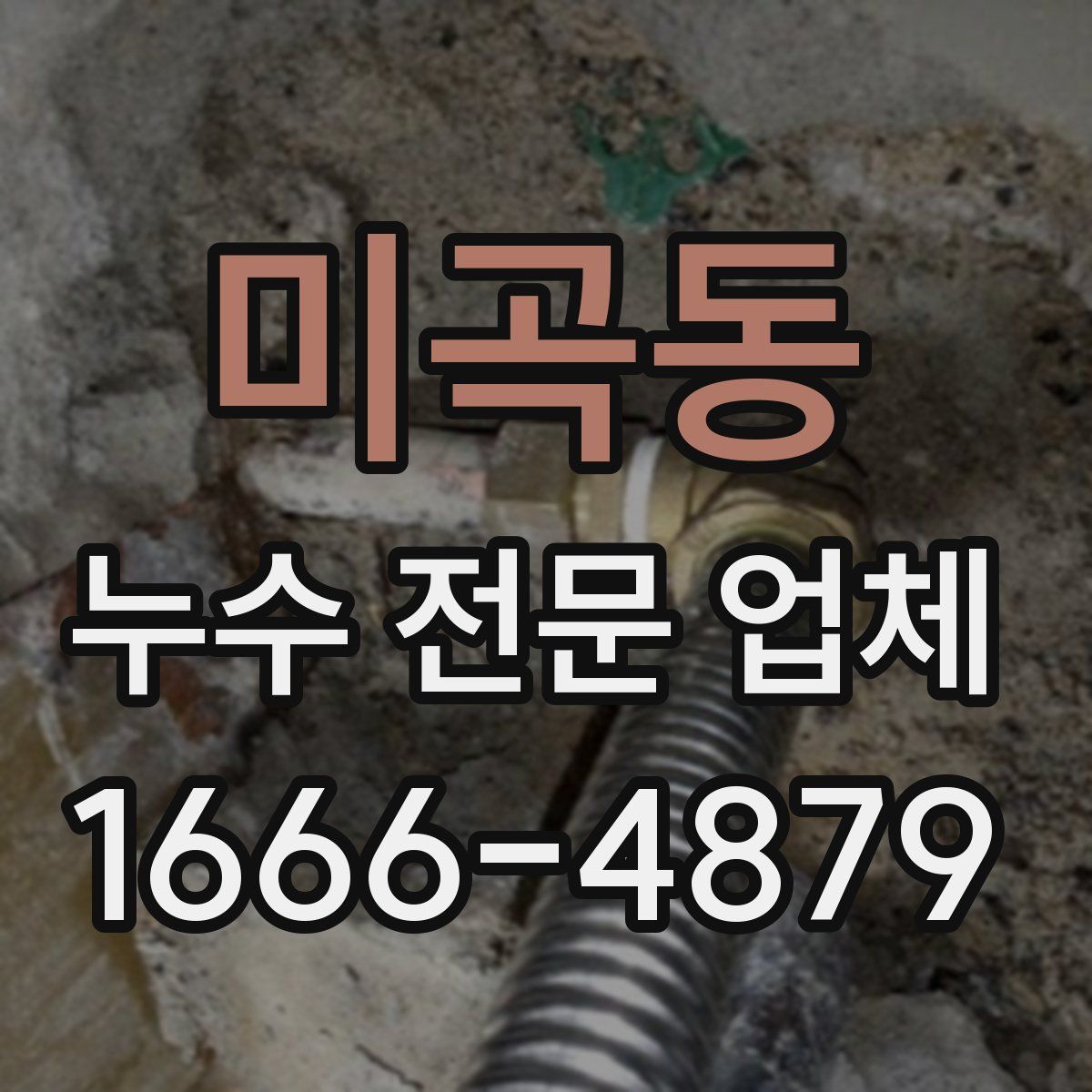 미곡동 누수 전문 업체