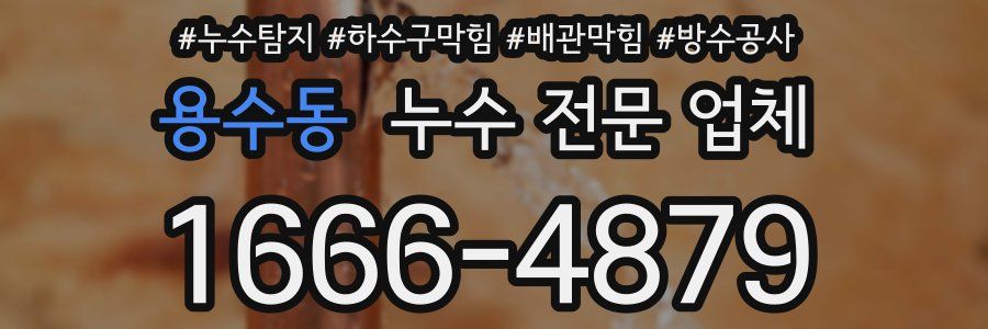 용수동 누수 전문 업체