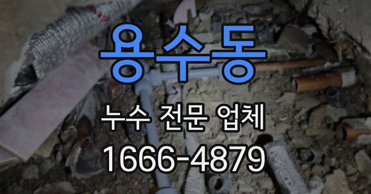 용수동 누수 전문 업체