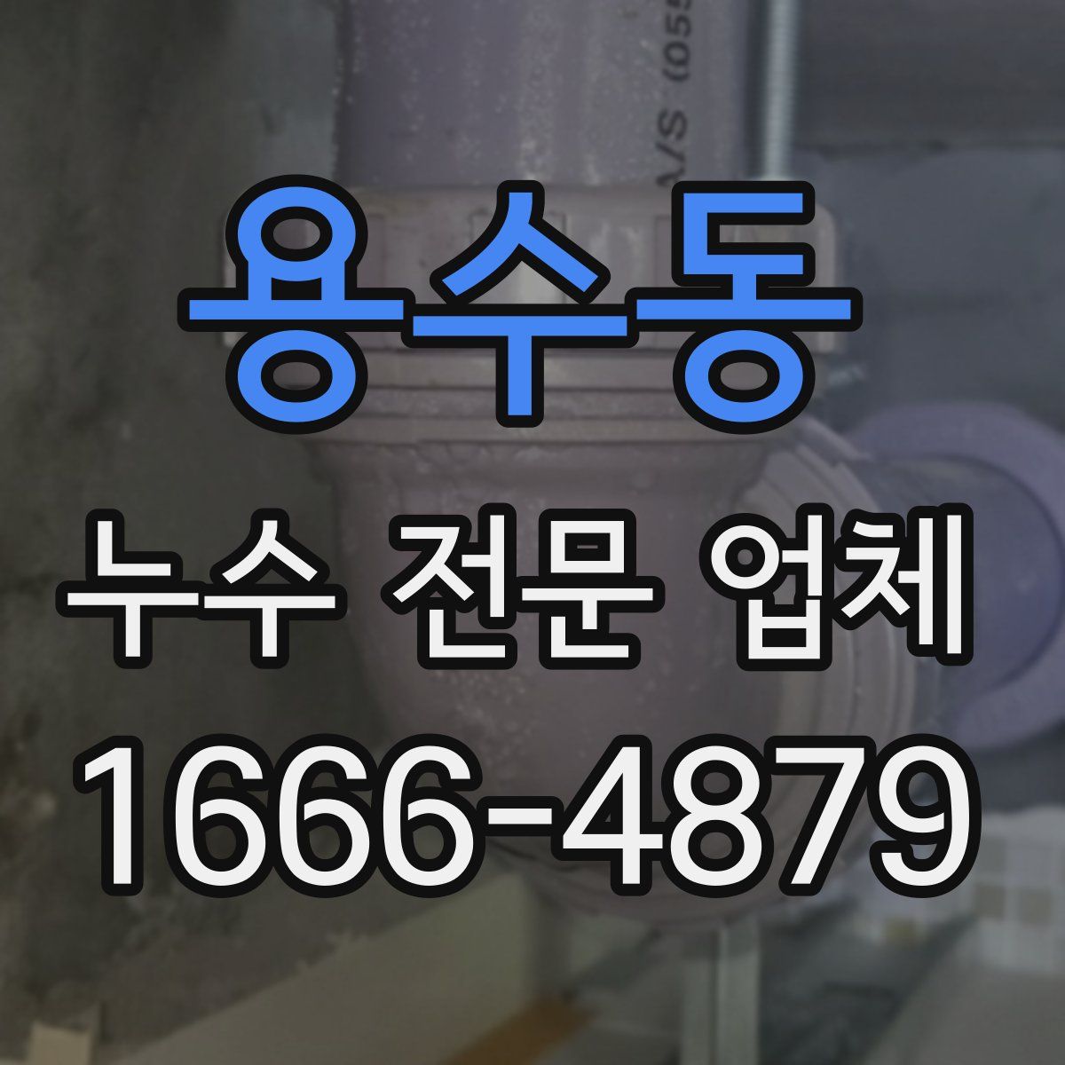 용수동 누수 전문 업체