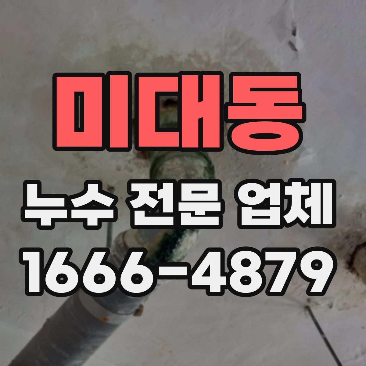 미대동 누수 전문 업체