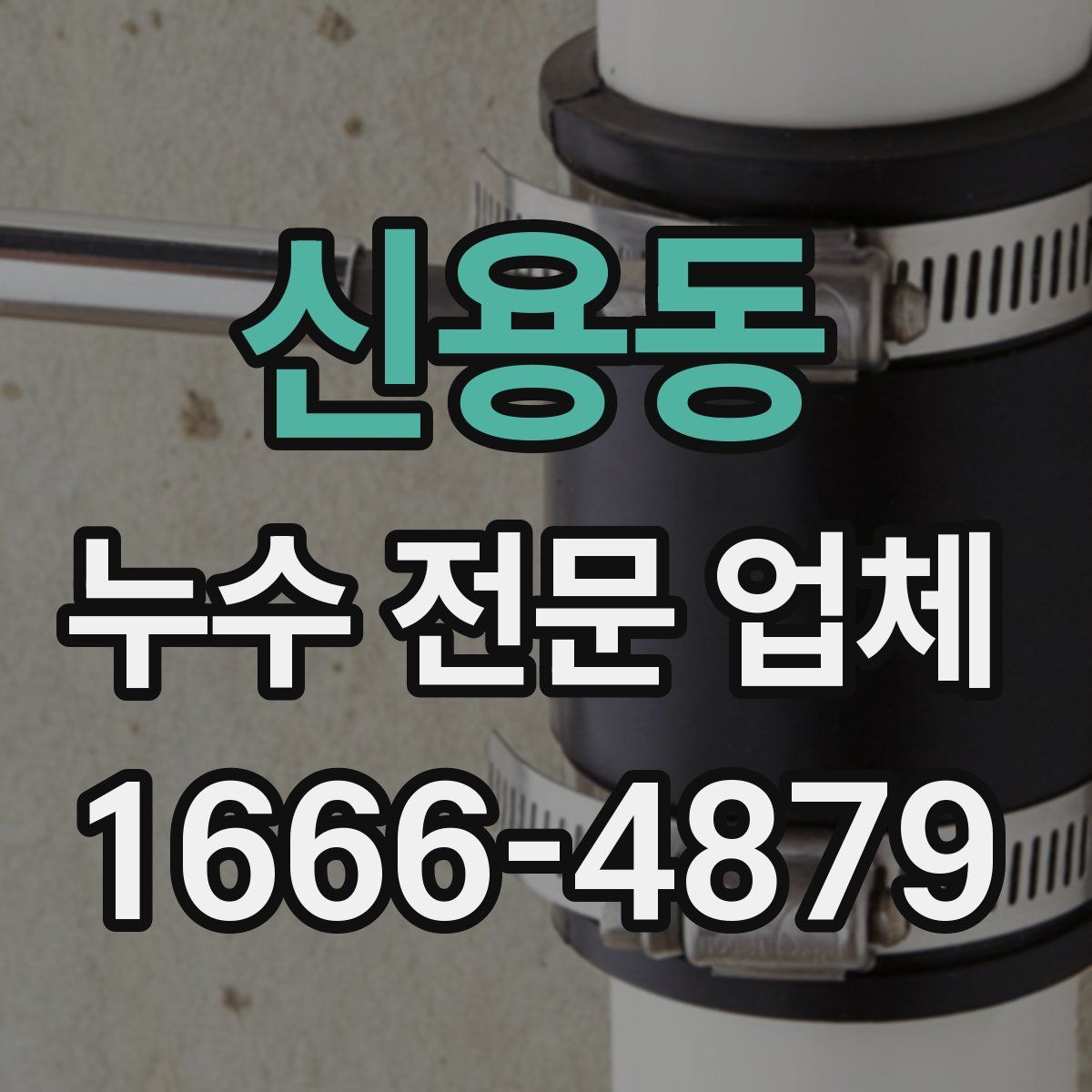 신용동 누수 전문 업체