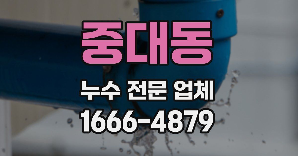 중대동 누수 전문 업체