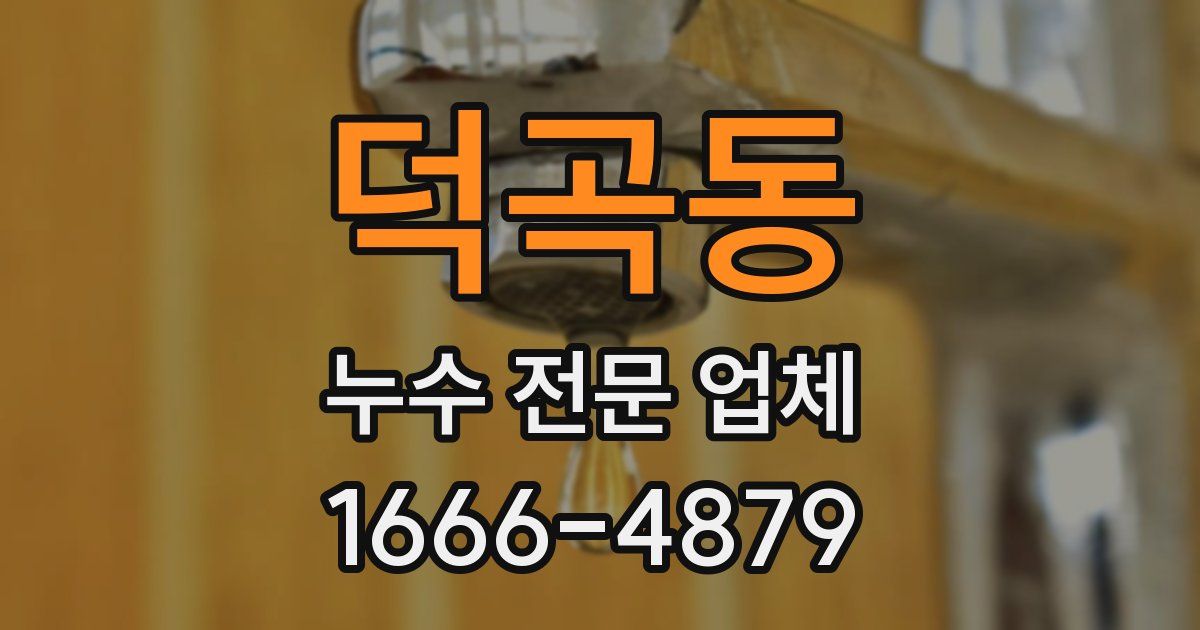 덕곡동 누수 전문 업체