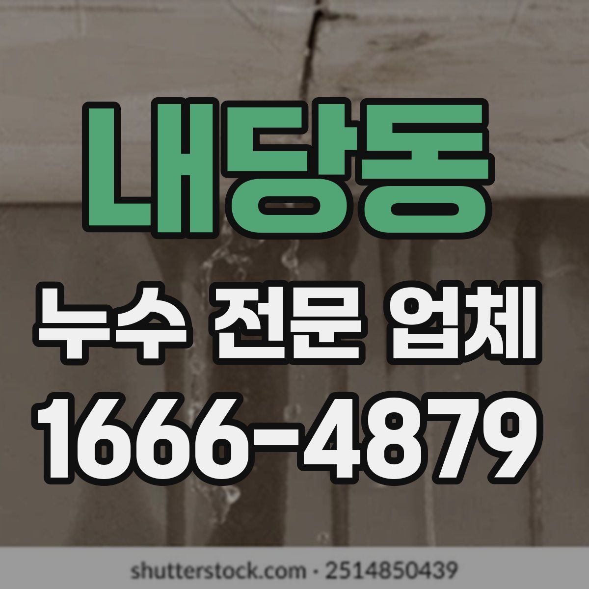 내당동 누수 전문 업체