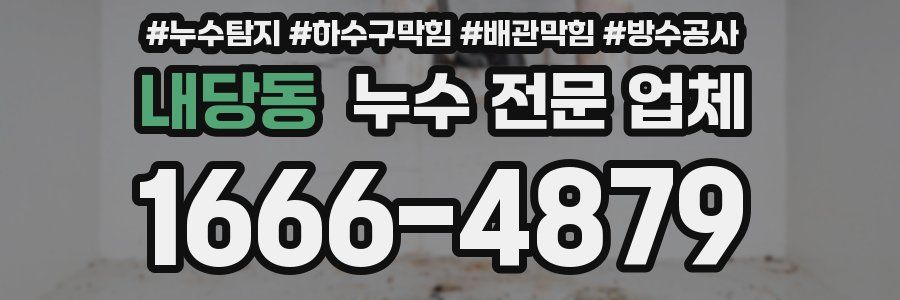 내당동 누수 전문 업체